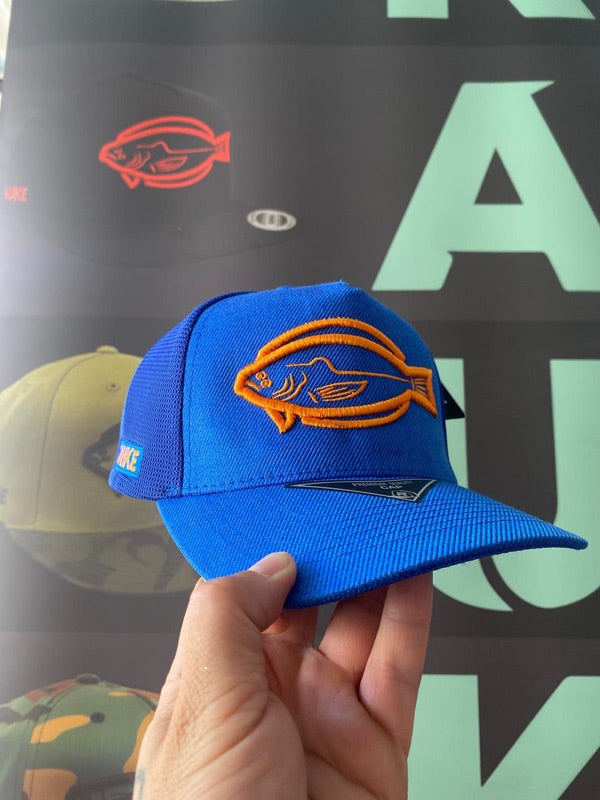 Trucker Azul Eléctrico
